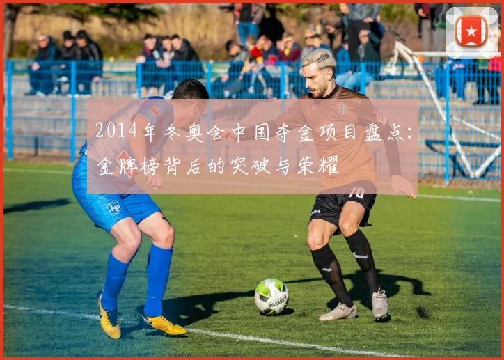 2014年冬奥会中国夺金项目盘点：金牌榜背后的突破与荣耀