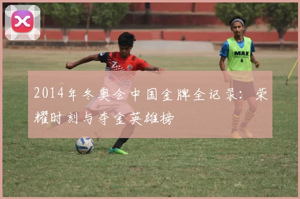 2014年冬奥会中国金牌全记录：荣耀时刻与夺金英雄榜