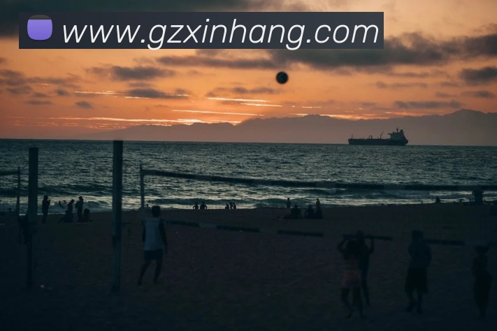 emc体育官方网APP 封面图